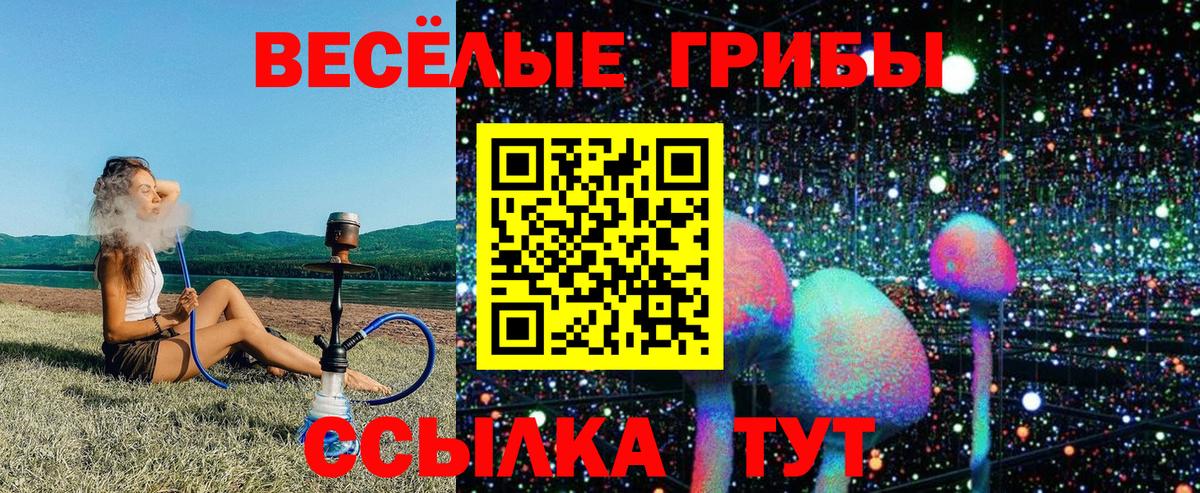 Галлюциногенные грибы прущие грибы Кулебаки