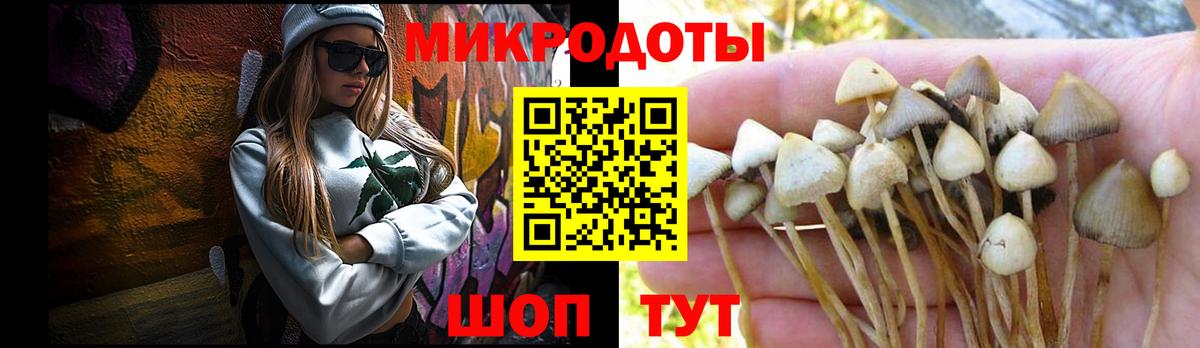 Галлюциногенные грибы Psilocybe  Вход с VPN  Кулебаки  Галлюциногенные грибы Magic Shrooms 
